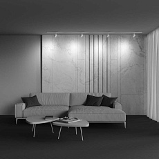 Трековый светильник Maytoni Technical Single phase track system Unity Polar TR088-1-GX53-W 2