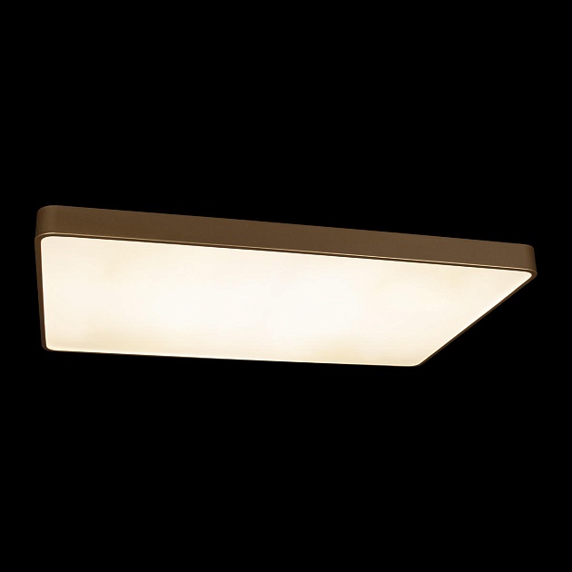 Потолочный светодиодный светильник Loft IT Flims 10228/E Фото № 5