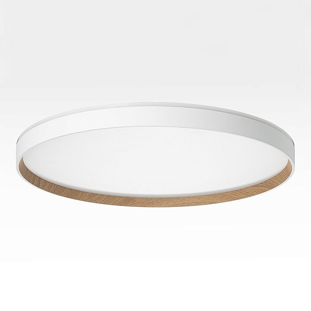 Потолочный светодиодный светильник Citilux Etalon CL750500R Фото № 13