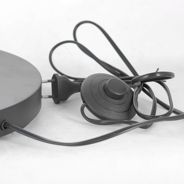 Торшер Lussole Lgo LSP-0590 Фото № 4