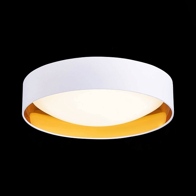 Потолочный светодиодный светильник Evoluce Orbio SLE201122-01 Фото № 5