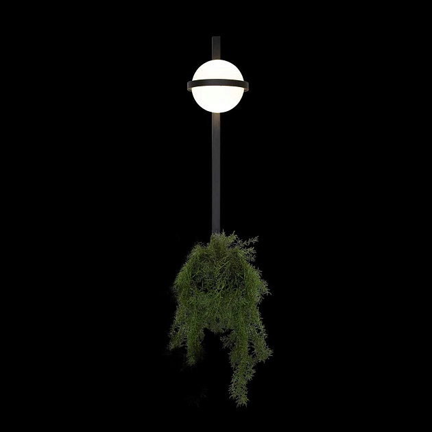 Настенный светильник LOFT IT Jardin 10121W/B Фото № 3