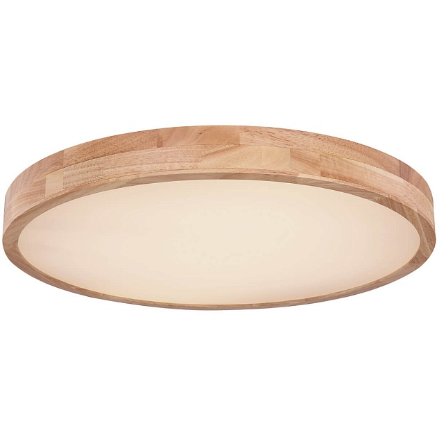 Потолочный светодиодный светильник Globo Rainer 41745-48 Фото № 1