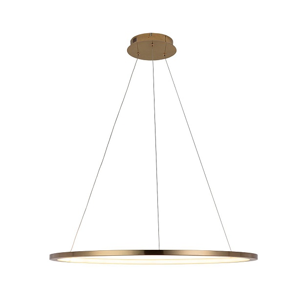 Подвесной светодиодный светильник Loft IT Ring 10014L изображение 1 Подвесной светодиодный светильник Loft IT Ring 10014L Фото № 1