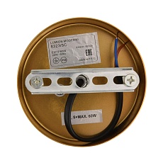 Люстра Lumion LARINA 8323/5C 1