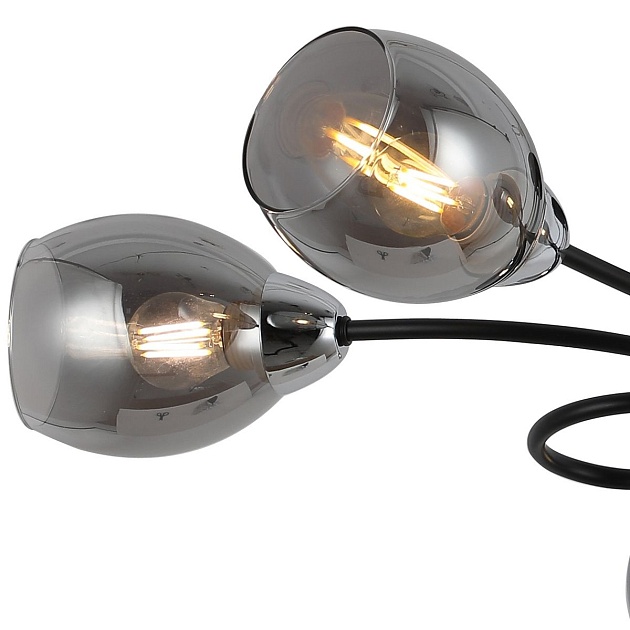 Потолочная люстра Illumico IL8263-6COU-79 BK CR Фото № 3