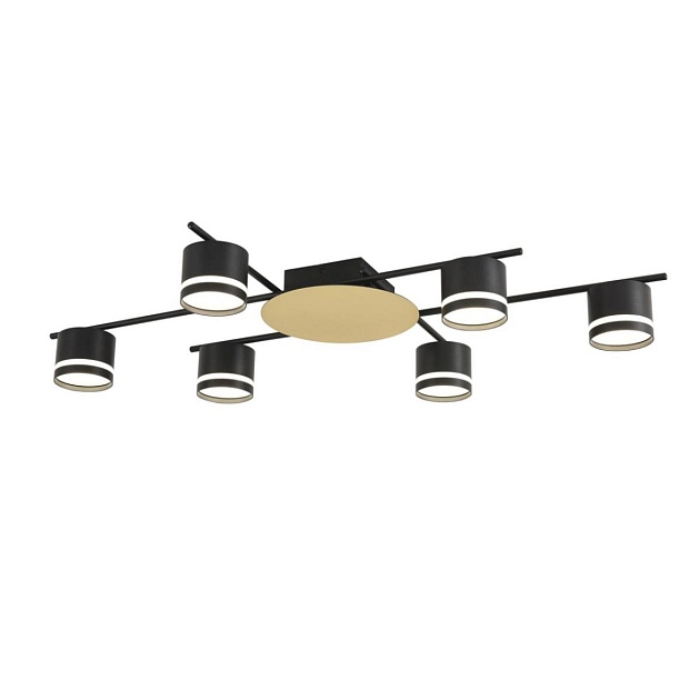 Светильник потолочный Lumion BENUA 8304/6C изображение 4 Светильник потолочный Lumion BENUA 8304/6C Фото № 4