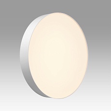 Настенно-потолочный светильник Sonex BASICA 7779/ELN 4