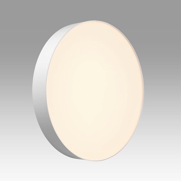 Настенно-потолочный светильник Sonex BASICA 7779/ELN Фото № 5