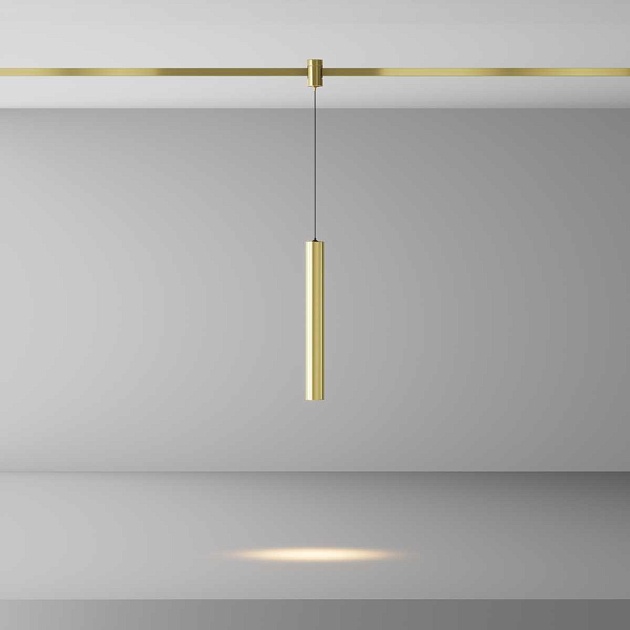 Трековый светильник Maytoni Technical TR155-1-5W3K-BS Фото № 7