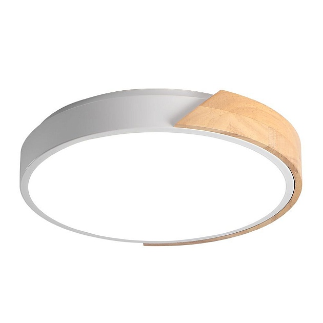 Потолочный светодиодный светильник Jazzway PPB Sсandic-R 5036956 изображение 1 Потолочный светодиодный светильник Jazzway PPB Sсandic-R 5036956 Фото № 1
