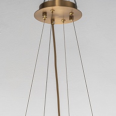 Подвесная люстра Favourite Glans 4303-8P 2