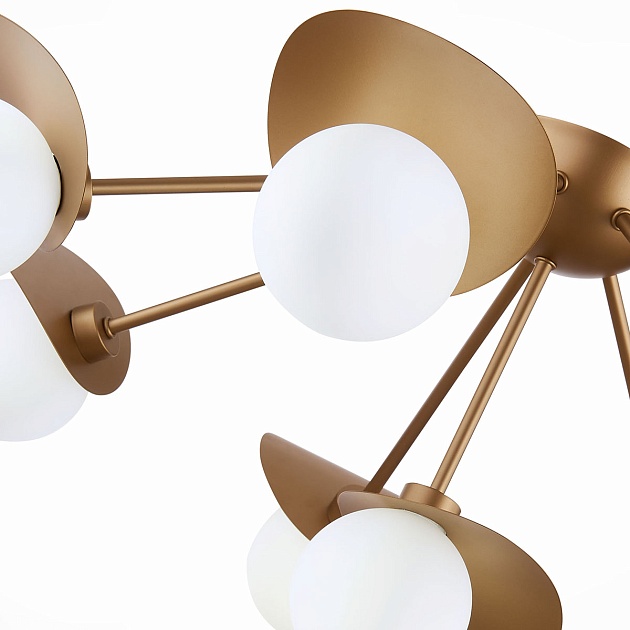 Потолочная люстра Evoluce Bolzano SLE220502-08 Фото № 2