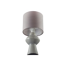 Настольная лампа Lumion Moderni Segi 8129/1T 5