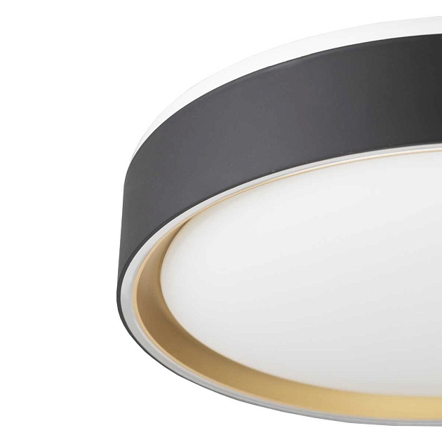 Потолочный светодиодный светильник Citilux Boss CL751251G Фото № 2