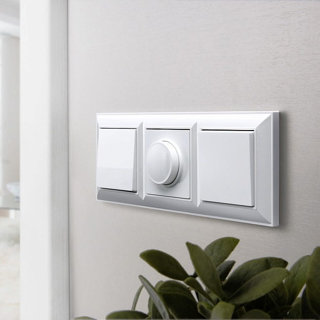 Перекрестный выключатель одноклавишный Werkel белый W1113001 4690389155086 изображение 6 Перекрестный выключатель одноклавишный Werkel белый W1113001 4690389155086 Фото № 6