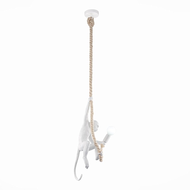 Подвесной светильник Evoluce Tenato SLE115103-01 изображение 1 Подвесной светильник Evoluce Tenato SLE115103-01 Фото № 1