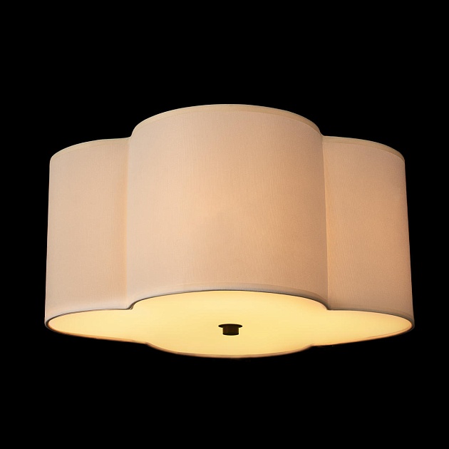 Потолочный светильник Loft IT Silence 10303 Black изображение 4 Потолочный светильник Loft IT Silence 10303 Black Фото № 4