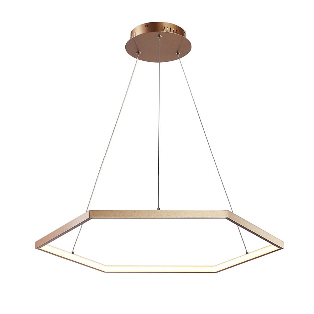 Подвесной светодиодный светильник Favourite Hexagon 2103-6P изображение 1 Подвесной светодиодный светильник Favourite Hexagon 2103-6P Фото № 1