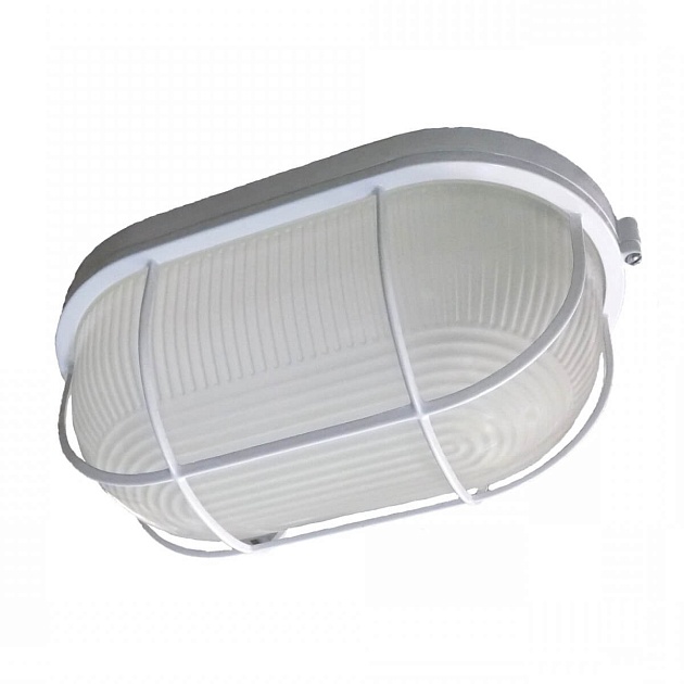 Настенно-потолочный светильник ЭРА НБП 04-100-002 Б0048426 Фото № 1