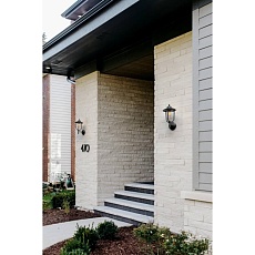 Уличный настенный светильник Covali WL-31080 1