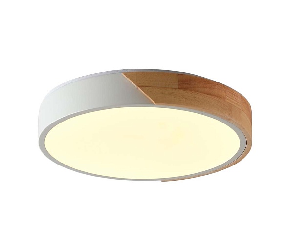 Потолочный светильник Zortes ALBERRO ZRS.01239.90 изображение 5 Потолочный светильник Zortes ALBERRO ZRS.01239.90 Фото № 5