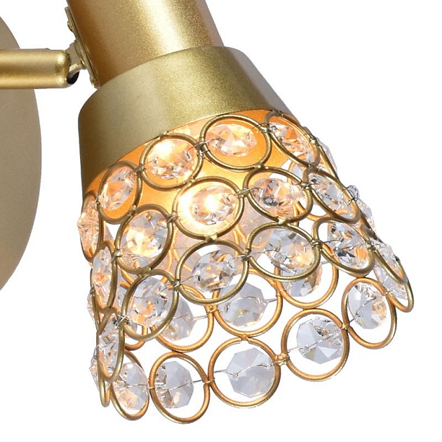 Спот Reluce 05954-0.8-01 Gold изображение 2 Спот Reluce 05954-0.8-01 Gold Фото № 2