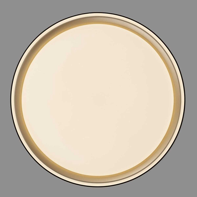 Потолочный светодиодный светильник Citilux Boss CL751251G Фото № 10