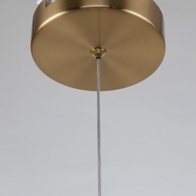 Подвесной светодиодный светильник F-Promo Chantra 4088-1P Фото № 5