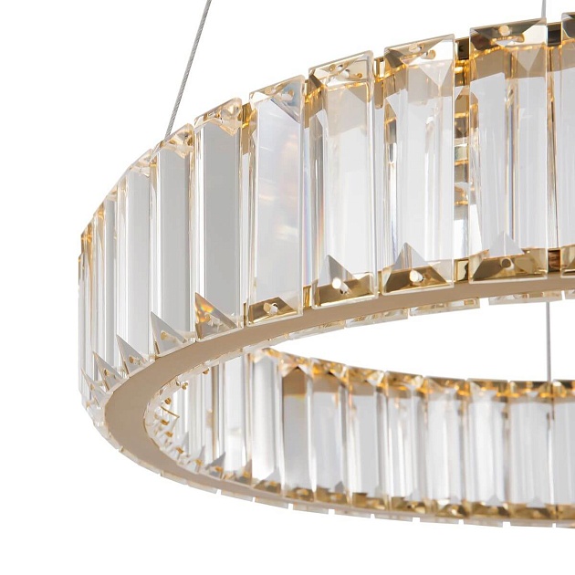 Подвесной светодиодный светильник Freya Tier FR5257PL-L17G Фото № 7