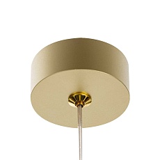 Подвесной светильник Citilux Hardy CL002P12 1