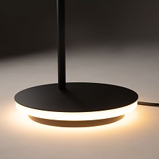 Торшер Maytoni Estudo Z010FL-L8B3K 2