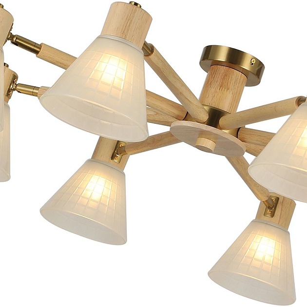 Потолочная люстра Arte Lamp Meleph A4096PL-8BR Фото № 5