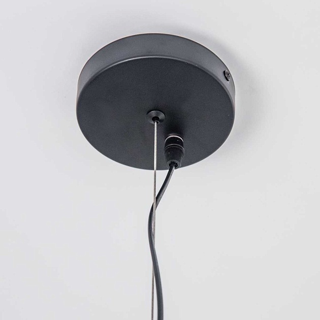 Подвесная люстра Citilux Таверна CL542161 Фото № 7