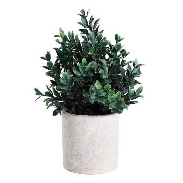 Искусственное растение Eglo CHITOSE 428028 изображение 1 Искусственное растение Eglo CHITOSE 428028 Фото № 1