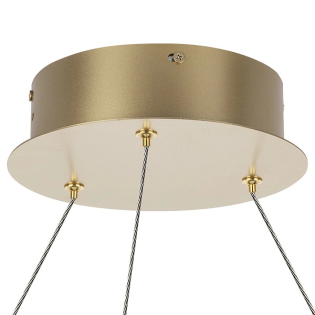 Подвесная светодиодная люстра Lightstar Rotonda 736333 Фото № 5