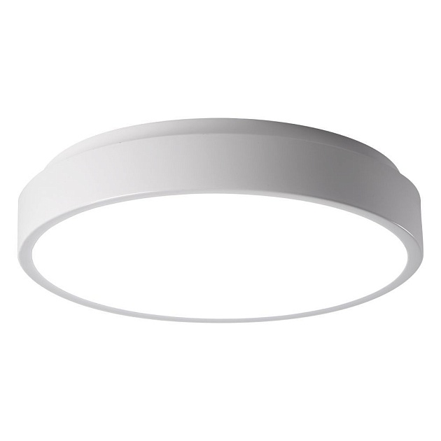 Потолочный светодиодный светильник Jazzway PPB Sсandic-R 5036826 Фото № 1