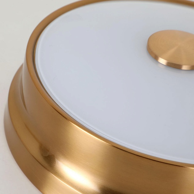 Потолочный светильник Favourite Pannikin 2375-2C Фото № 6