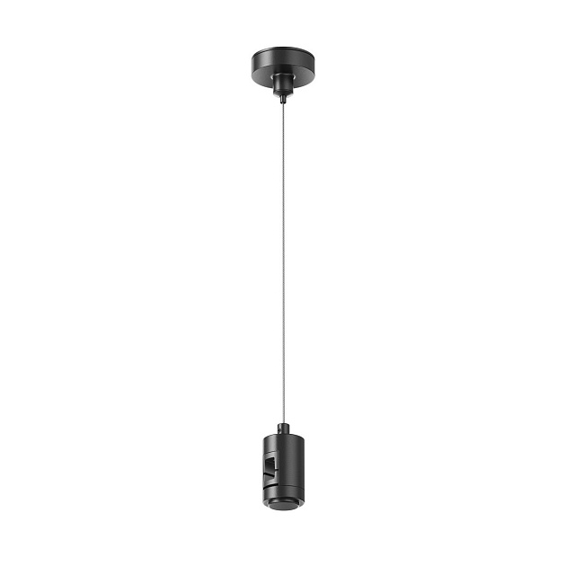 Подвес Maytoni Flarity TRA157SW-S1-B Фото № 1