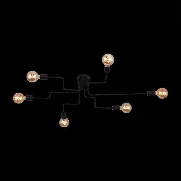 Потолочная люстра Evoluce Ano SL419.442.06 Фото № 15