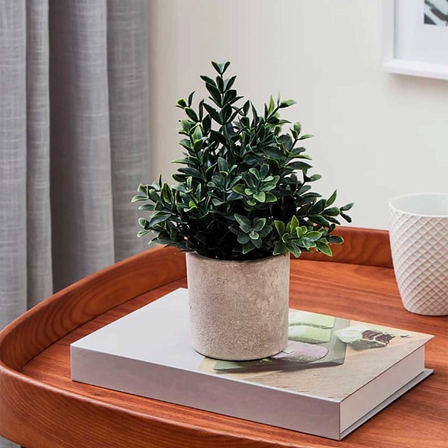 Искусственное растение Eglo CHITOSE 428028 изображение 2 Искусственное растение Eglo CHITOSE 428028 Фото № 2