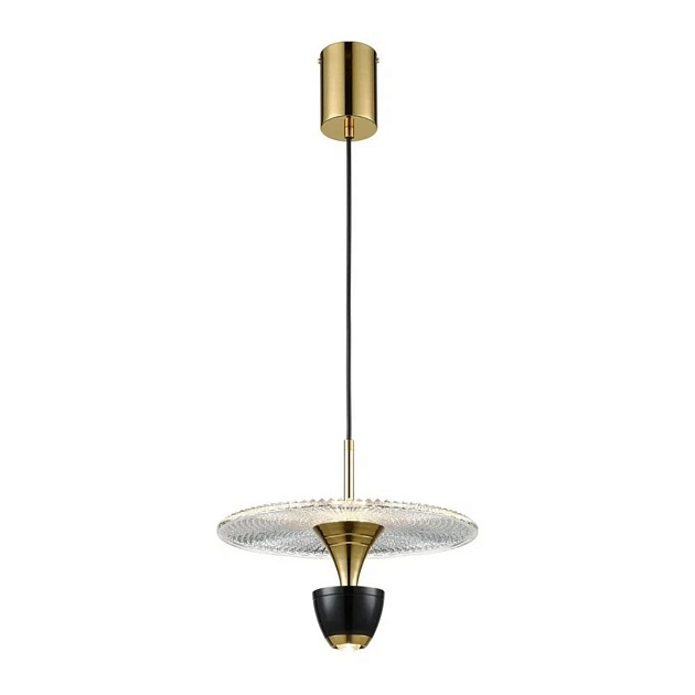 Подвесной светодиодный светильник Wertmark EBBO WE471.02.366 Фото № 1