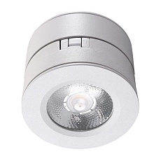 Потолочный светильник Lucia Tucci LTP-C003-12W-W