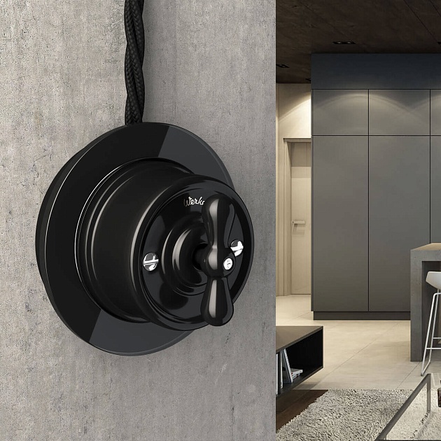 Переключатель-выключатель Werkel одноклавишный Retro черный W5612008 4690389166716 Фото № 2