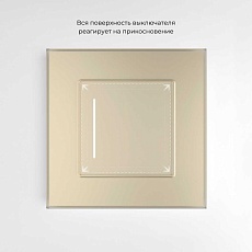 Сенсорный выключатель одноклавишный Werkel (Умный дом) с подсветкой шампань W4513011 a064145 2