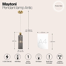 Подвесной светильник Maytoni Antic MOD302PL-01GR 1
