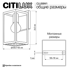 Уличный настенный светильник Citilux Forts CLU09W1 1