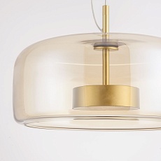 Подвесной светодиодный светильник Favourite Reflex 4235-2P 5