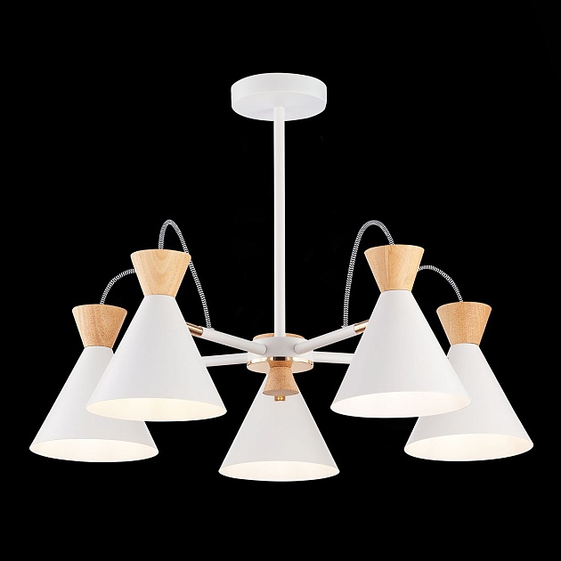 Потолочная люстра Evoluce Modica SLE125102-05 изображение 4 Потолочная люстра Evoluce Modica SLE125102-05 Фото № 4