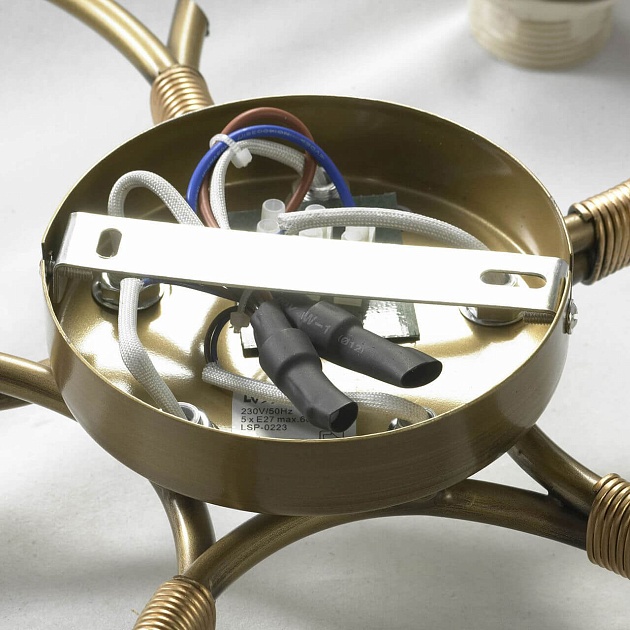 Потолочная люстра Lussole Lgo LSP-0223 изображение 6 Потолочная люстра Lussole Lgo LSP-0223 Фото № 6